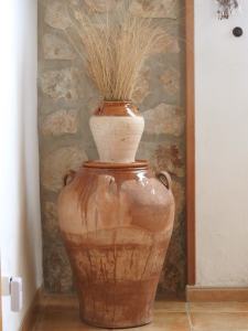 Casa Xanet del Delta